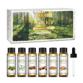 Essential Oils Set — 6 Pure Aromatherapy Oils